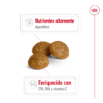 Royal Canin SHN X-Small Adult