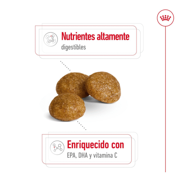 Royal Canin SHN X-Small Adult