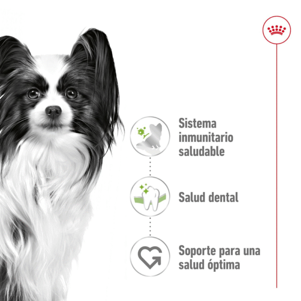 Royal Canin SHN X-Small Adult
