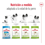 Royal Canin SHN X-Small Adult