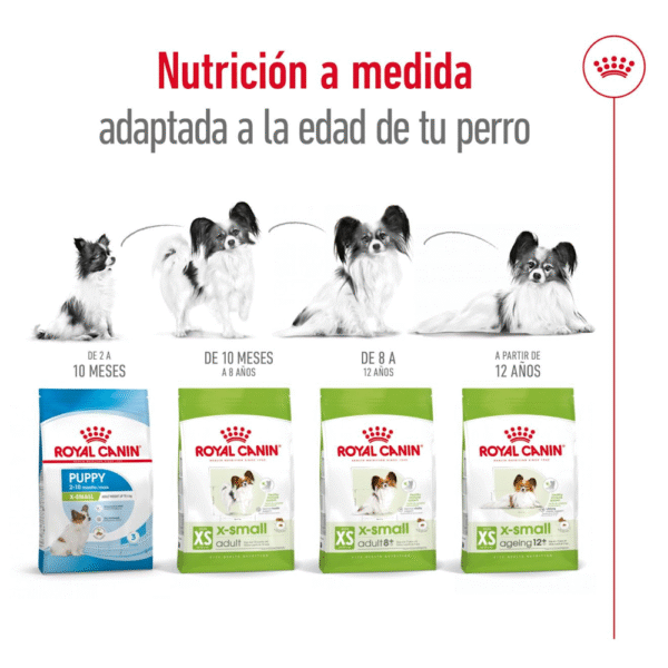 Royal Canin SHN X-Small Adult