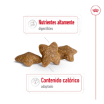 Royal Canin SHN Mini Adulto