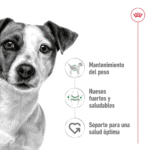 Royal Canin SHN Mini Adulto