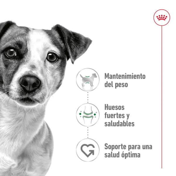Royal Canin SHN Mini Adulto