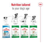 Royal Canin SHN Mini Adulto