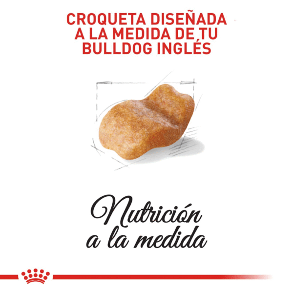 Royal Canin BHN Bulldog Inglés Adulto