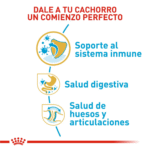Royal Canin BHN Bulldog Inglés Cachorro