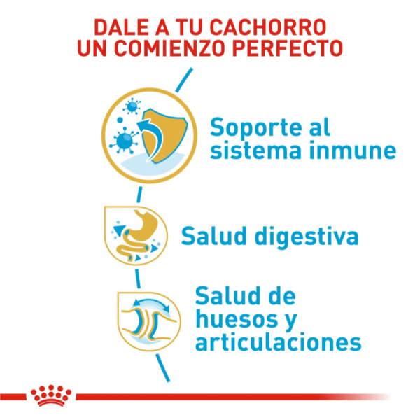 Royal Canin BHN Bulldog Inglés Cachorro