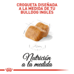 Royal Canin BHN Bulldog Inglés Cachorro