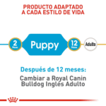 Royal Canin BHN Bulldog Inglés Cachorro