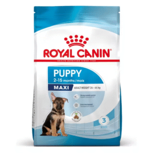 Royal Canin SHN Maxi Puppy