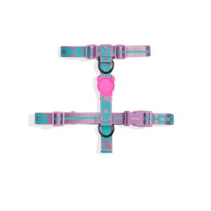 Zeedog Aura Dog H-Harness