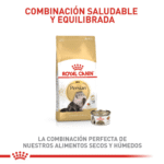 Royal Canin FBN Persian Adulto