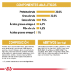 Royal Canin FBN Persian Adulto