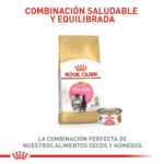Royal Canin FBN Persian Kitten
