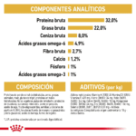 Royal Canin FBN Persian Kitten