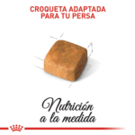 Royal Canin FBN Persian Kitten