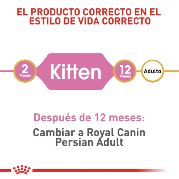 Royal Canin FBN Persian Kitten