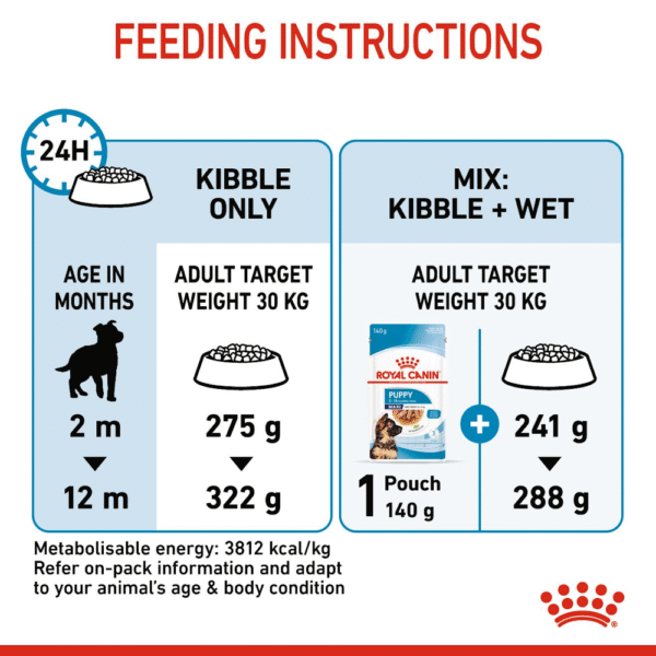 Royal Canin SHN Maxi Puppy