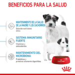Royal Canin SHN Starter Mother & Babydog Puppy