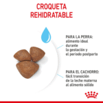 Royal Canin SHN Starter Mother & Babydog Puppy