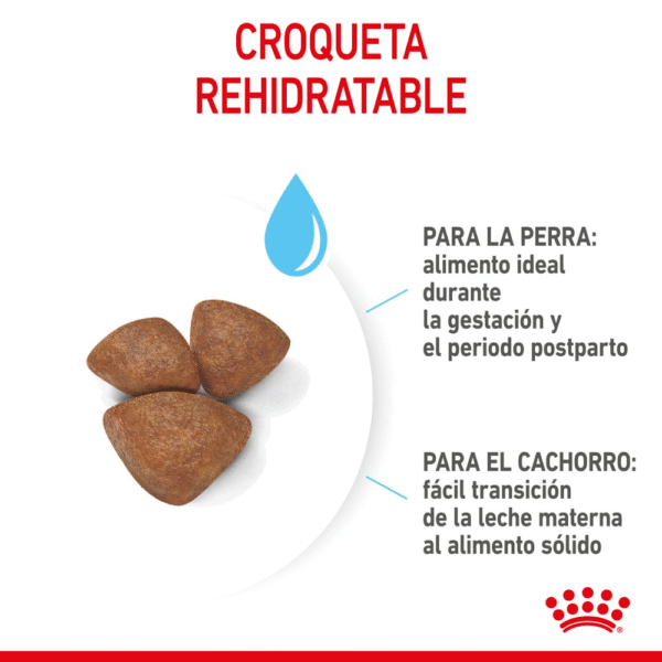 Royal Canin SHN Starter Mother & Babydog Puppy