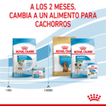 Royal Canin SHN Starter Mother & Babydog Puppy
