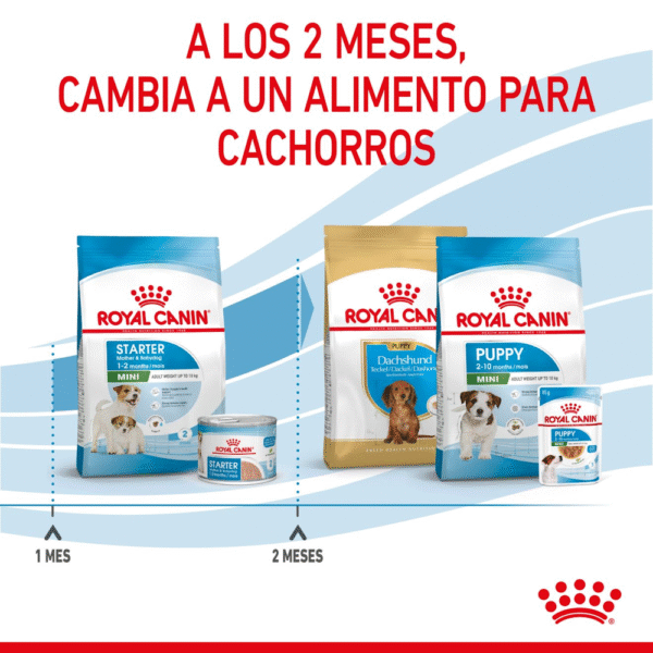 Royal Canin SHN Starter Mother & Babydog Puppy