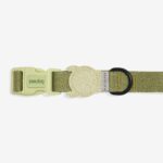Zeedog Moss Dog Collar