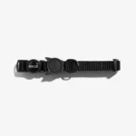 Zeecat Gotham Collar
