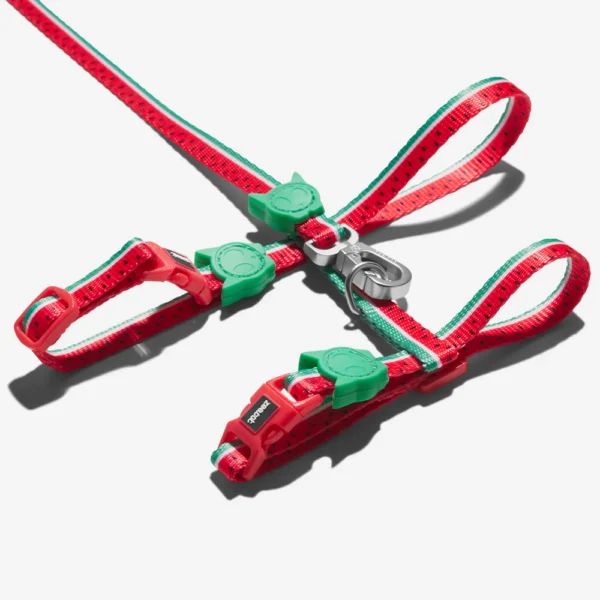 Zeecat Lola H-Harness con Correa