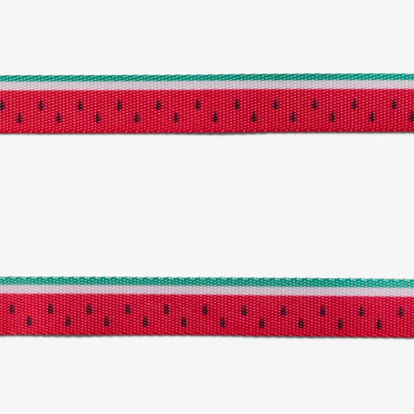 Zeecat Lola H-Harness con Correa