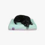Zeedog Bed Cover Lotus