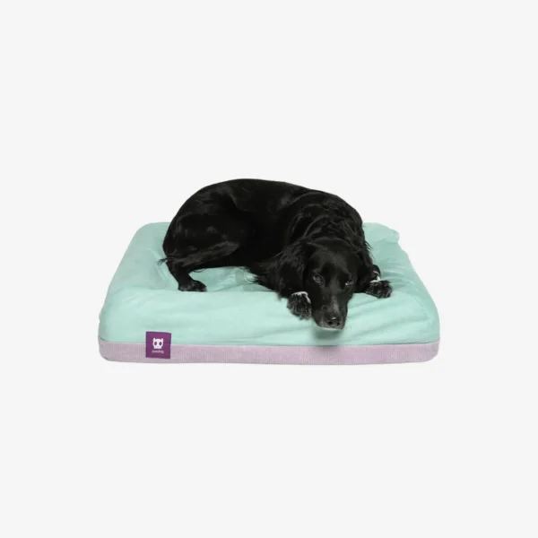 Zeedog Bed Cover Lotus