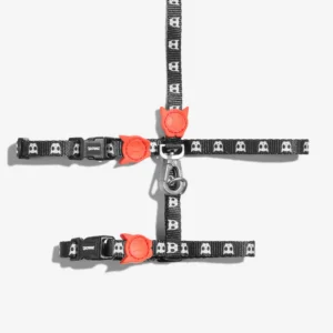 Zeecat Skull H-Harness con Correa