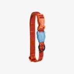 Zeedog Gibson Dog Collar - Imagen 3