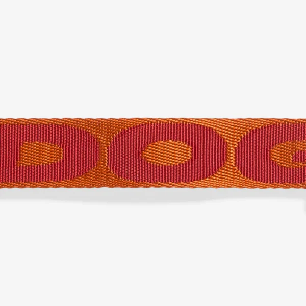 Zeedog Gibson Dog Collar - Imagen 4
