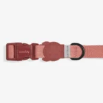 Zeedog Canyon Dog Collar