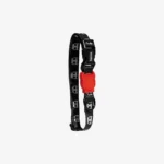 Zeedog Skull Dog Collar - Imagen 2