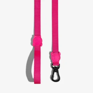 Zeedog Pink LED Correa