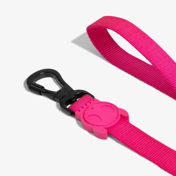 Zeedog Pink LED Correa