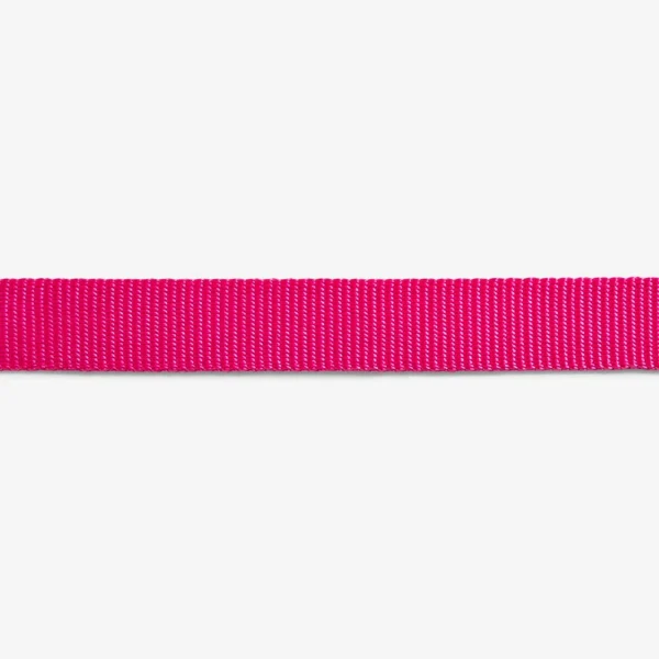 Zeedog Pink LED Correa