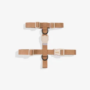 Zeedog Dune Dog H-Harness