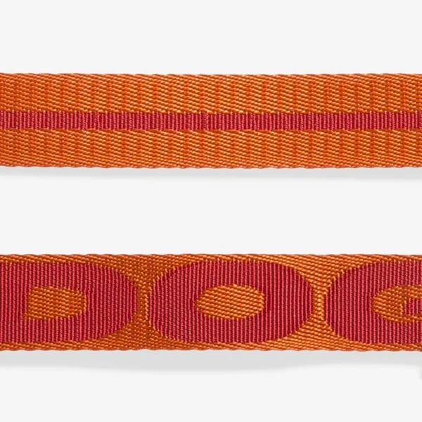 Zeedog Gibson Dog H-Harness