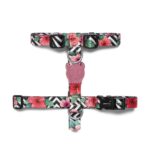 Zeedog Mahalo Dog H-Harness