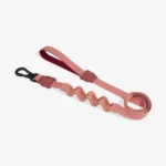 Zeedog Canyon Correa Ruff