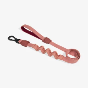 Zeedog Canyon Correa Ruff