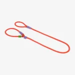 Zeedog Everest Correa Slip-N-Lock
