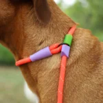 Zeedog Everest Correa Slip-N-Lock