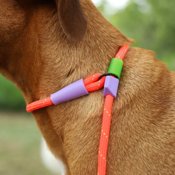 Zeedog Everest Correa Slip-N-Lock